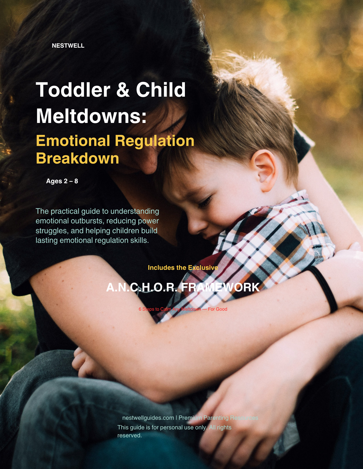 Toddler & Child Meltdowns: Emotional Regulation Breakdown